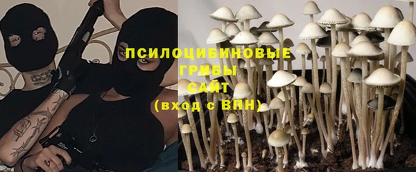 мяу мяу мука Верхний Тагил